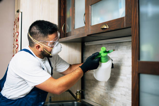 Best Best Pest Control Companies  in Bosque Farms, NM