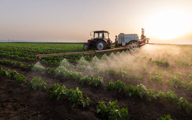 Best Pest Prevention Services  in Bosque Farms, NM