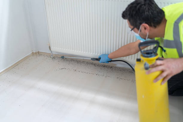 Best Commercial Pest Control Services  in Bosque Farms, NM