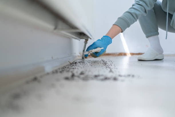 Best Commercial Pest Control Services  in Bosque Farms, NM